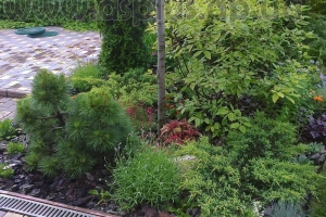 landscape (17)